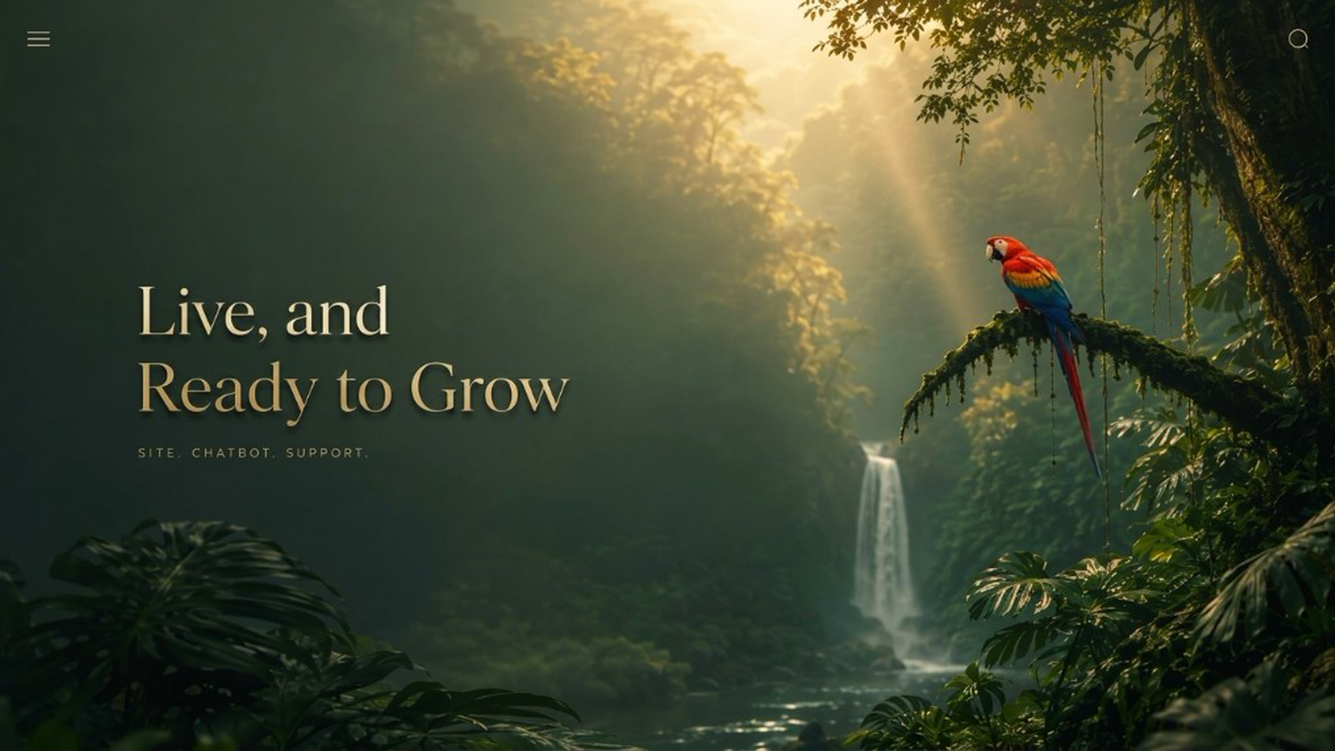 Live, and Ready to Grow — Site. Chatbot. Support.